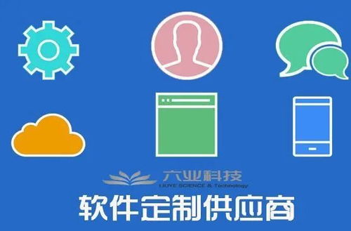 企业青睐定制开发 软件定制热度为何急剧上升？